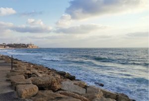 Jaffa