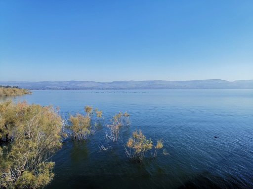 Sea of Galilee